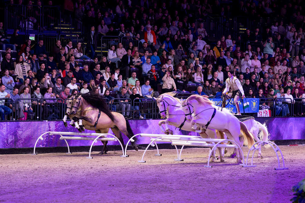 Diego Giona hobushow