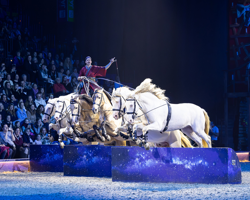 Diego Giona horse show