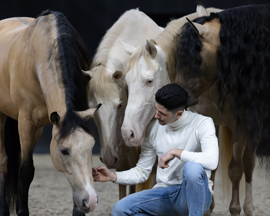 Diego Giona horse show