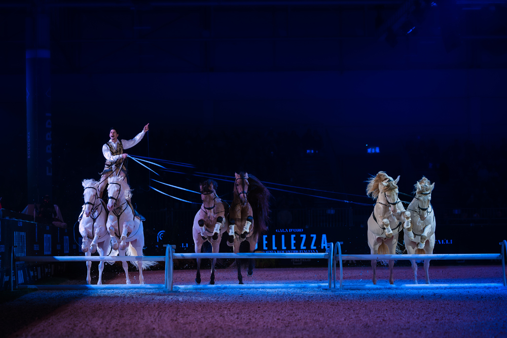 Diego Giona horse show