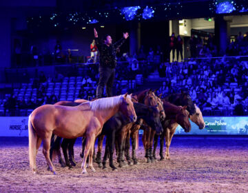 Tallinn International Horse Show