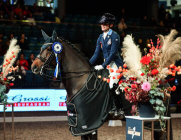 Tallinn International Horse Show