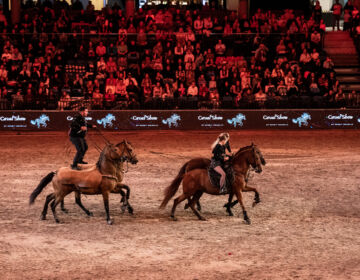Tallinn International Horse Show