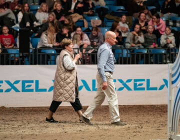 Tallinn International Horse Show